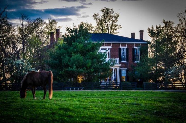 Maple Hill Manor Bed & Breakfast Springfield Экстерьер фото